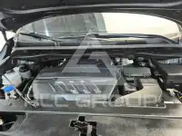 2019 KIA Carnival