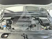 2019 KIA Carnival