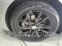 2019 KIA Carnival