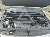 2019 KIA Carnival
