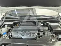 2019 KIA Carnival