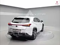 2020 Lexus UX