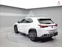 2020 Lexus UX