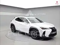 2020 Lexus UX