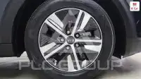 2020 KIA Niro