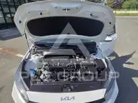 2022 KIA K3