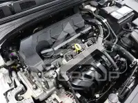 2022 KIA K3
