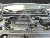 2019 KIA Carnival