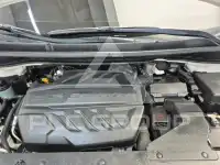 2019 KIA Carnival