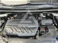 2019 KIA Carnival