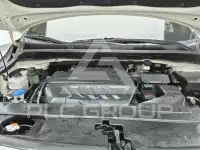 2019 KIA Carnival