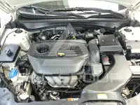 2020 KIA K5