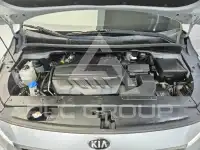 2019 KIA Carnival