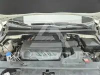 2019 KIA Carnival