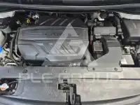 2019 KIA Carnival