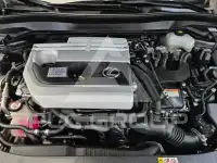 2019 Lexus UX