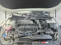 2020 KIA K5