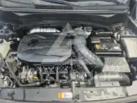 2020 KIA Celltos
