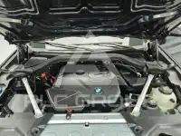 2021 BMW X4