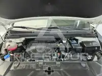2022 KIA Carnival