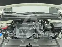 2022 KIA Carnival