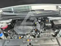 2022 KIA Carnival