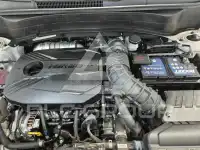 2022 KIA Celltos