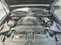 2021 Audi Q8