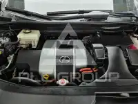 2021 Lexus RX