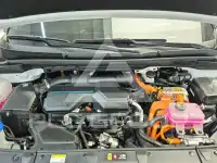 2025 KIA Carnival