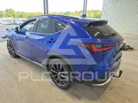 2024 Lexus NX