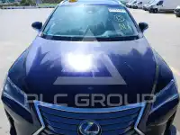 2019 Lexus RX
