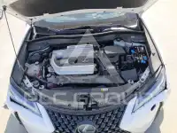 2019 Lexus UX