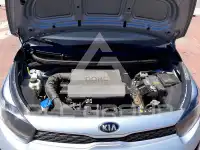2019 KIA Picanto