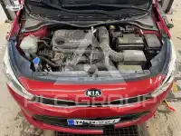2019 KIA Rio