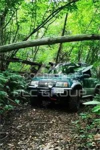 1998 Suzuki Vitara