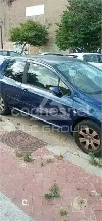 2001 Peugeot 307