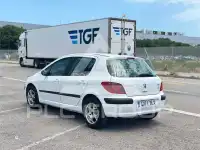 2001 Peugeot 307