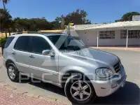 2002 Mercedes Benz M-Class
