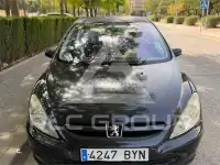 2002 Peugeot 307