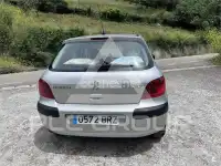 2002 Peugeot 307