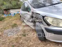 2002 Peugeot 307
