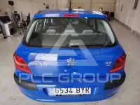 2002 Peugeot 307