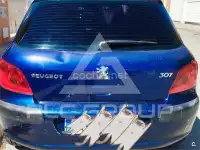 2003 Peugeot 307