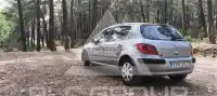 2003 Peugeot 307