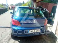 2003 Peugeot 307