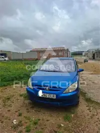 2003 Peugeot 307