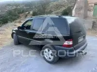 2004 Mercedes Benz M-Class