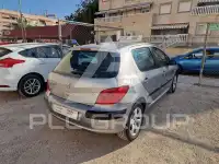 2004 Peugeot 307