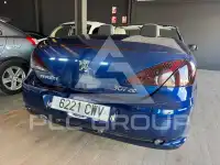 2004 Peugeot 307